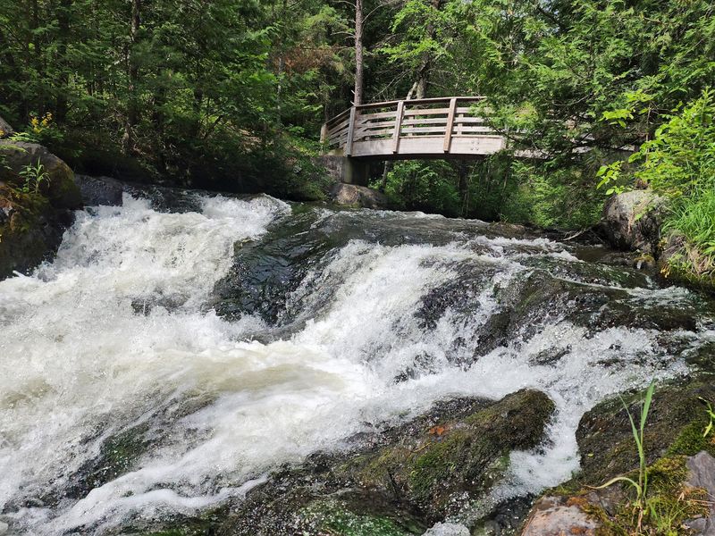 Veteran's Falls: Bridge Views Near Crivitz