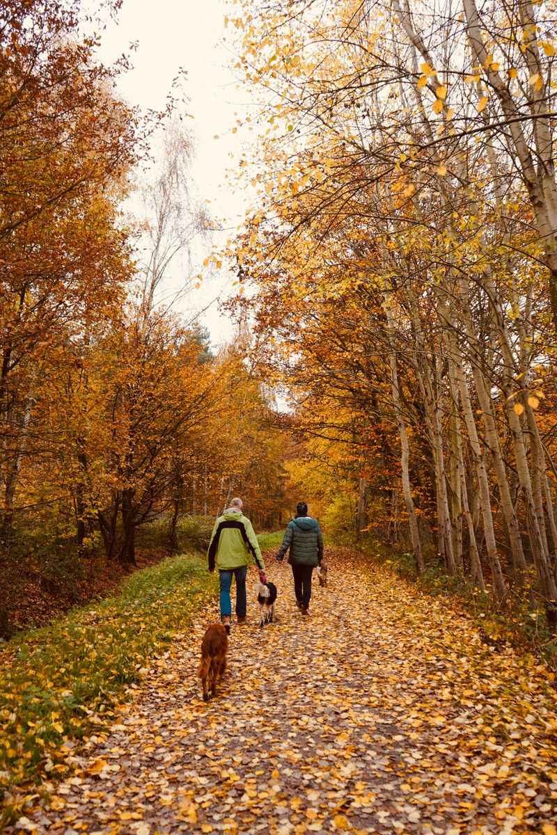 When Outdoor Exposure Becomes A Reason To Call The Vet