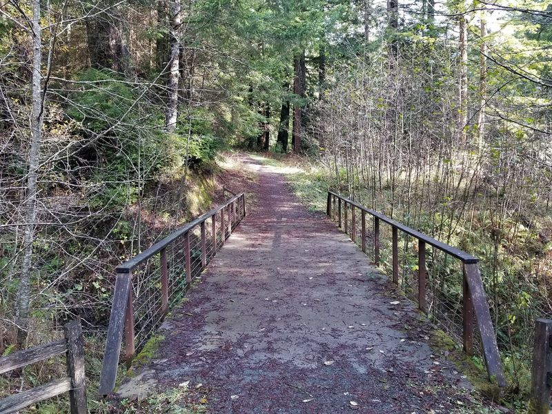 Elk River Trail: Know Your Turnaround
