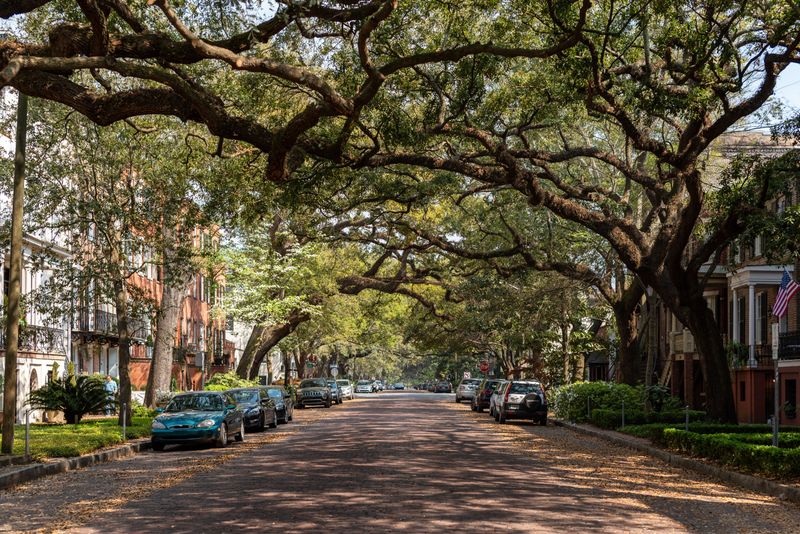 Shaded Streets Become More Valuable