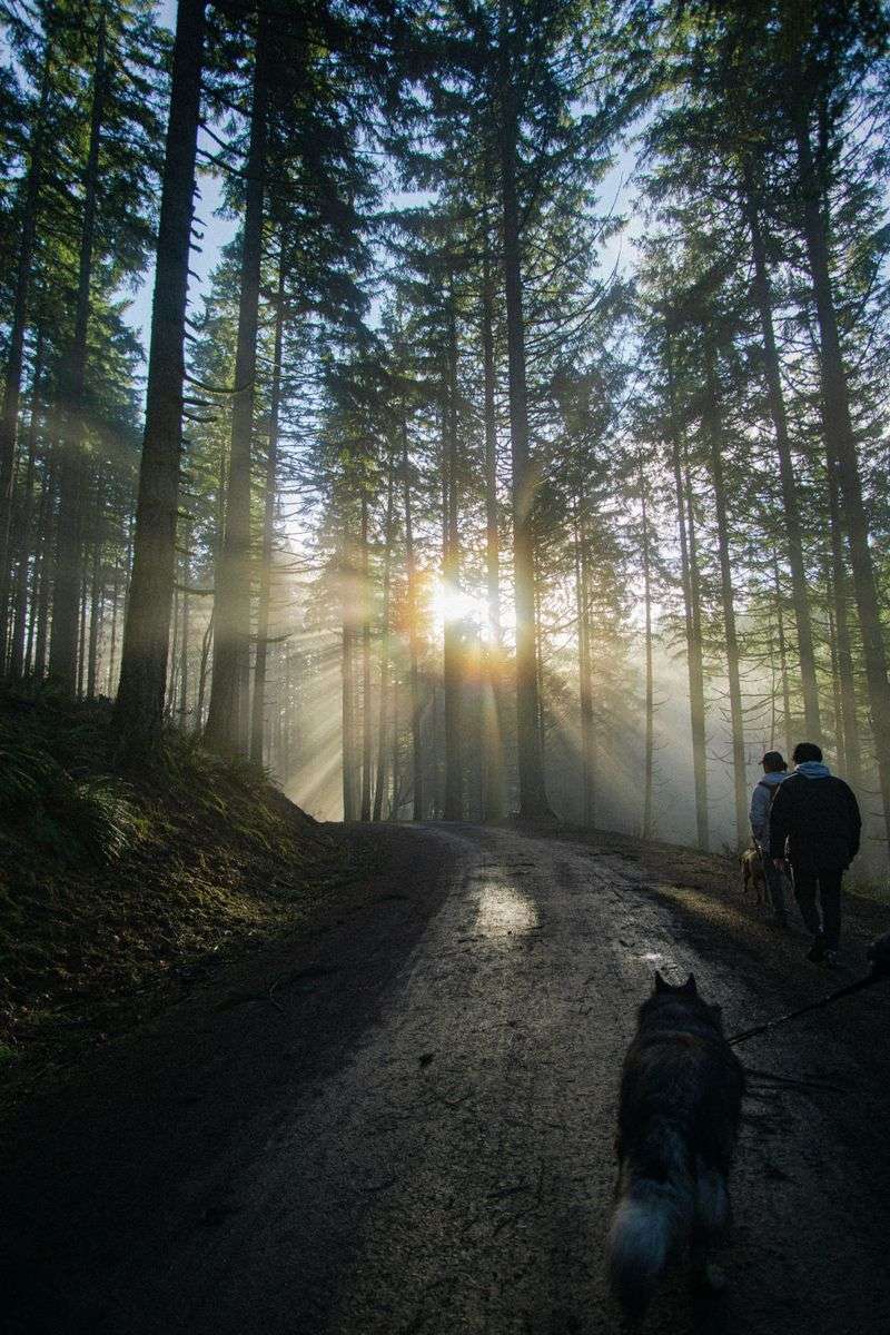 Rethink Your Hiking Hours
