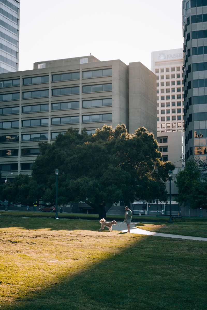Using Potty Cues for Quick Outdoor Breaks