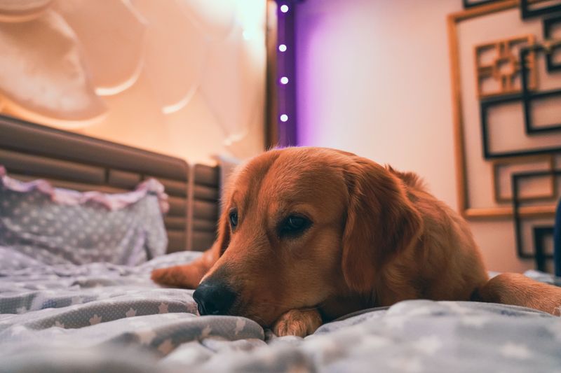 Thunderstorms Can Interrupt Sleep During the First Month