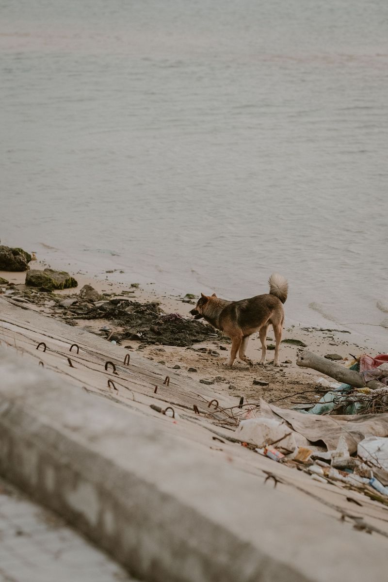 Coastal Beaches Are Not Always Safe After a Storm