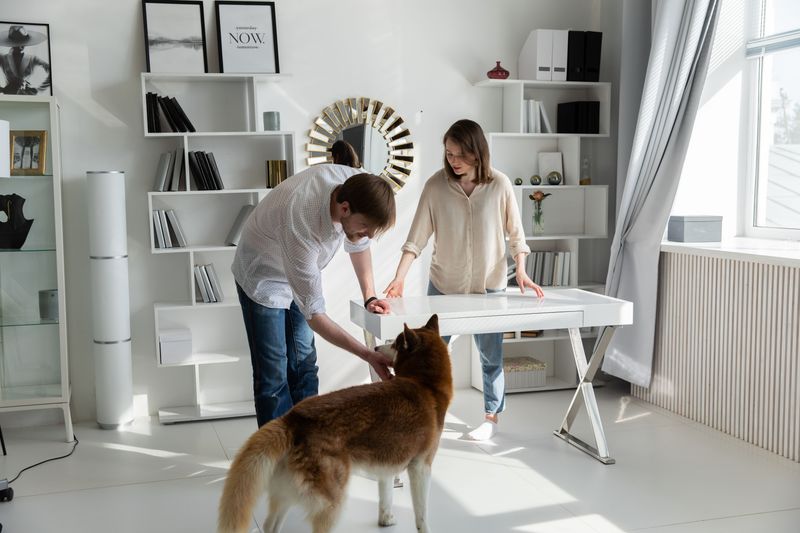 Can Pet Charges Rise Mid-Lease?