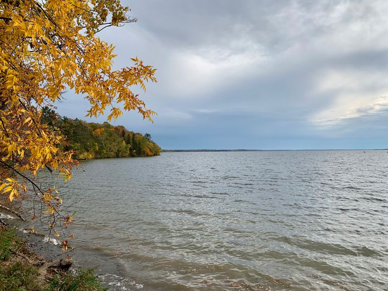 Lake Bemidji State Park: Rocky Point Views