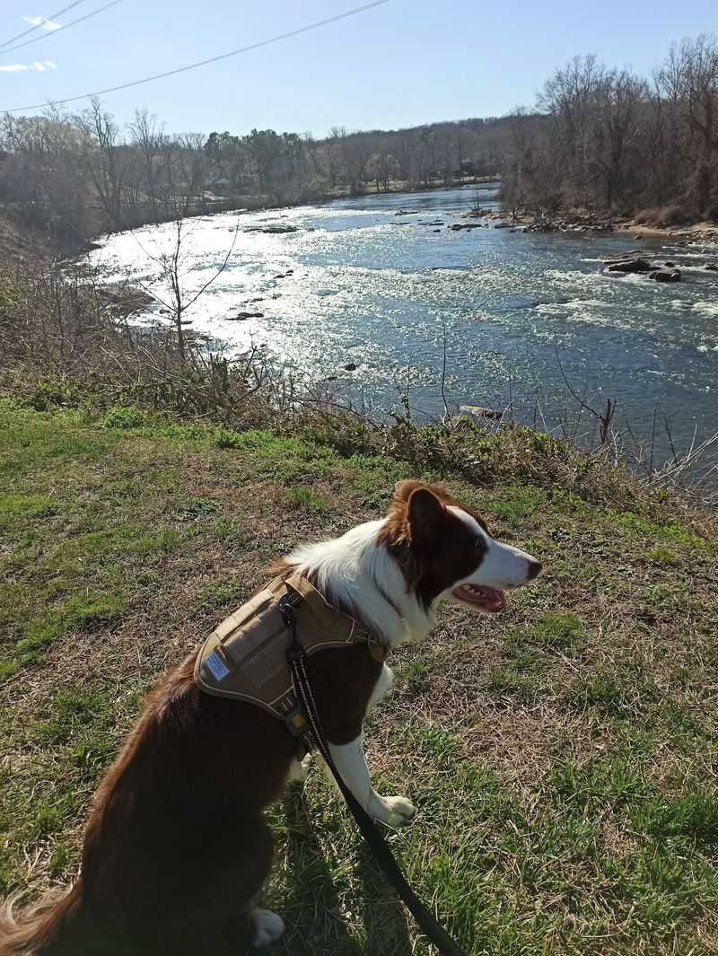 Rappahannock River Heritage Trail, Fredericksburg