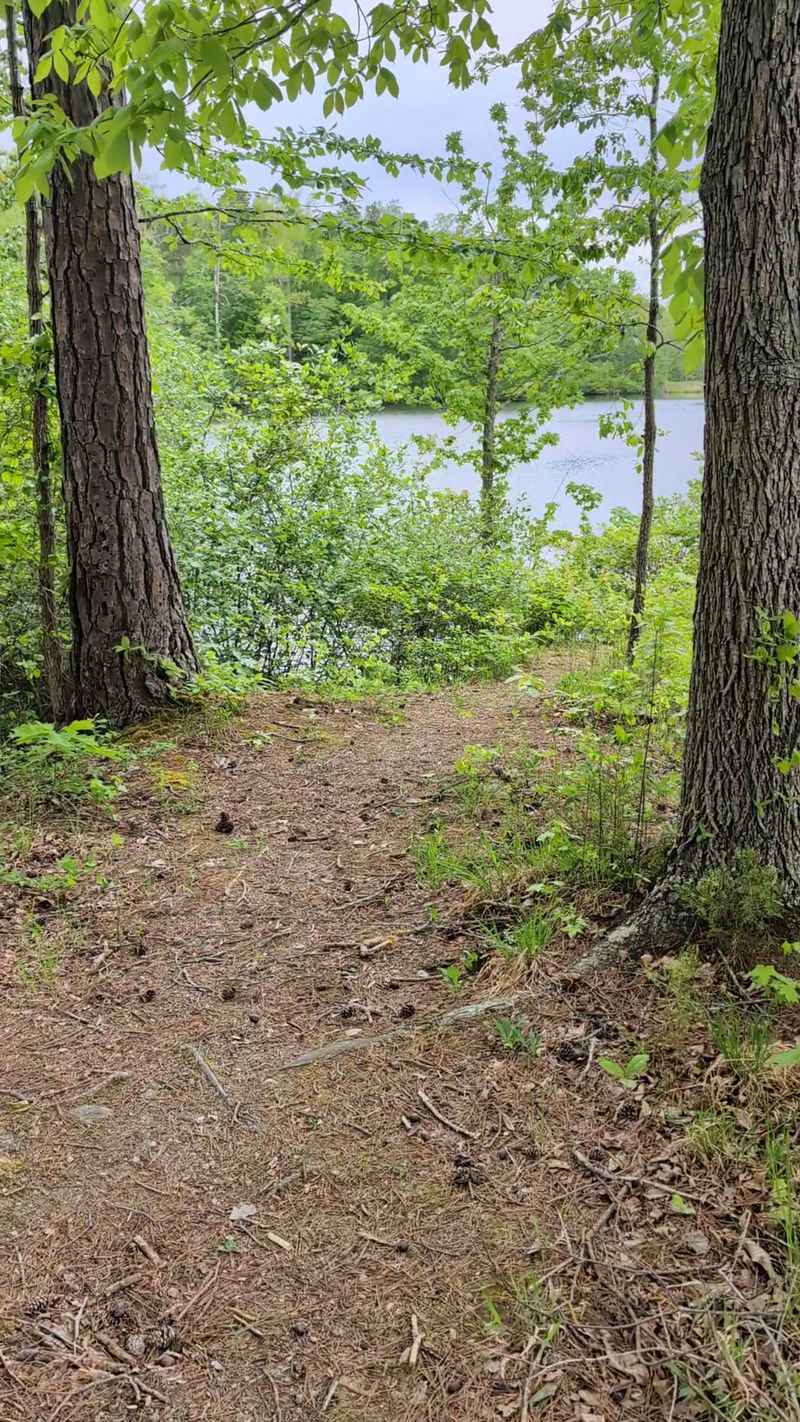 Twin Lakes State Park Campground, Easygoing Exploring in Prince Edward County