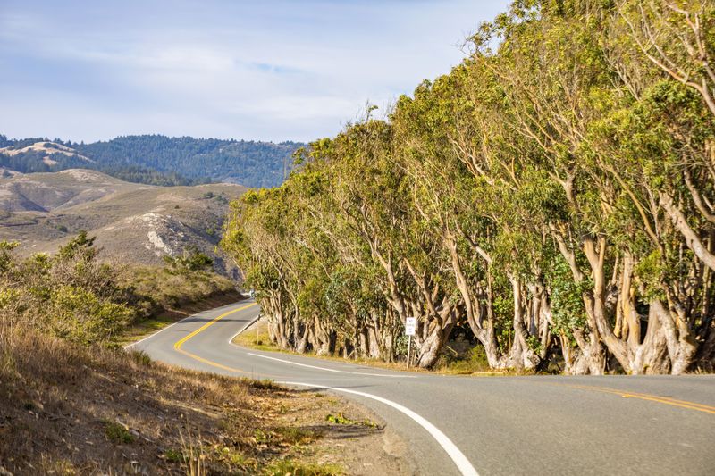 Build A Backup Traffic Route
