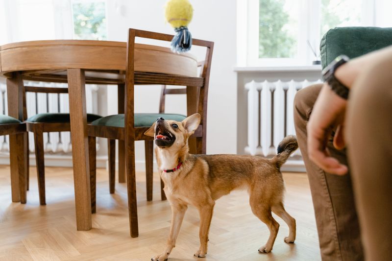 Move Active Play Indoors During Humid Afternoons