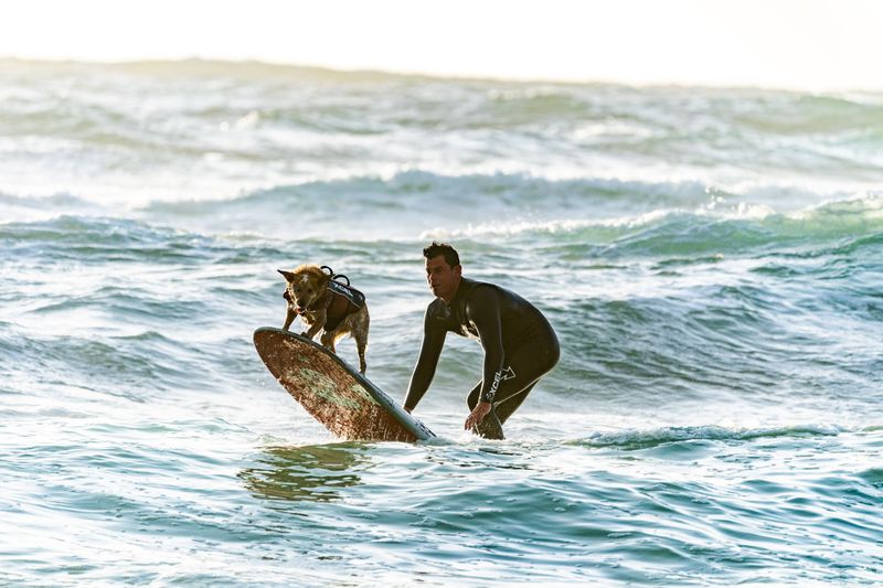 Book a Surf Lesson in Long Beach
