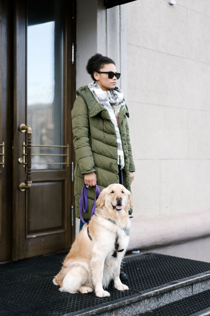 Reconsider Using the Mudroom as a Dog’s Only Exit
