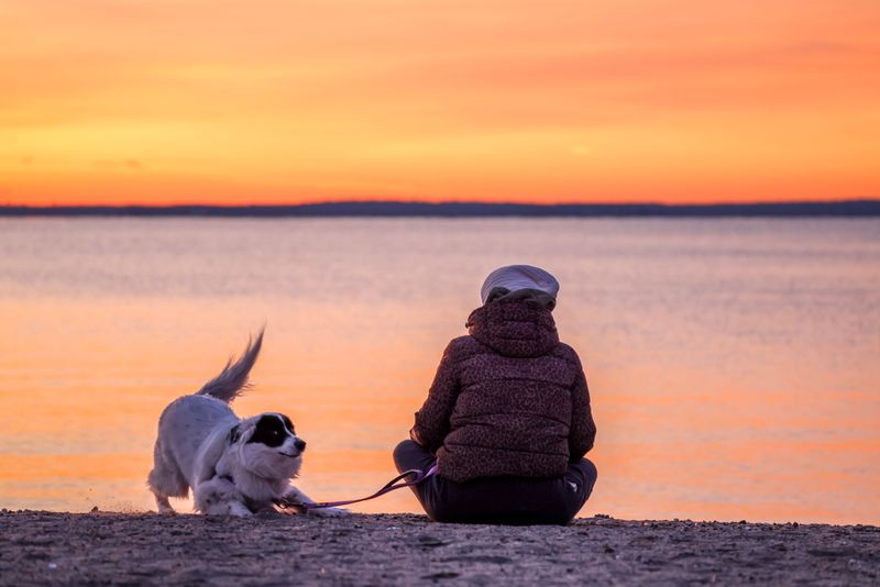 Be Particularly Careful After Sunset