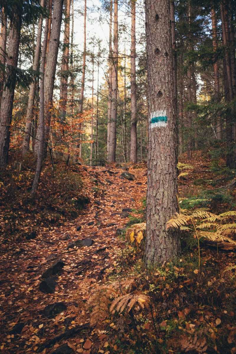 Stay on Marked Trails and Established Paths
