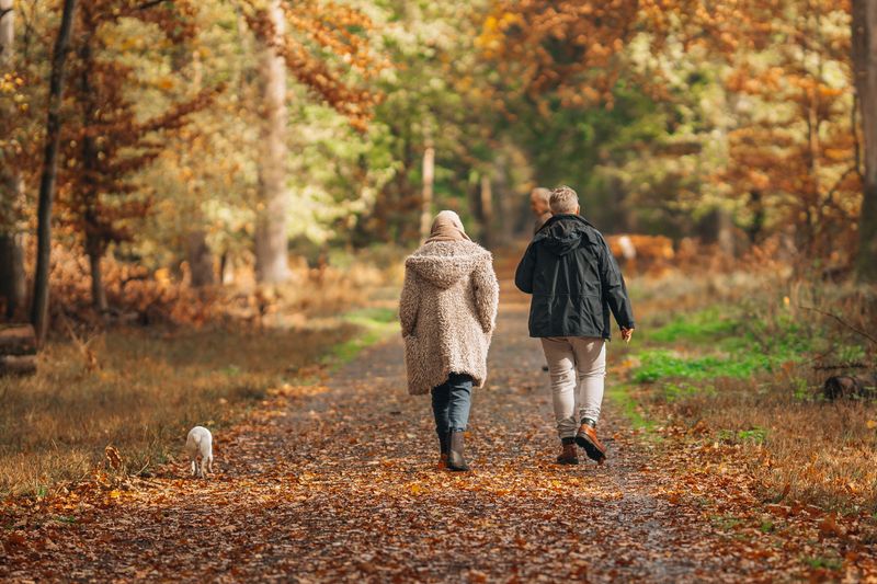 Choose Safer Times And Check The Weather