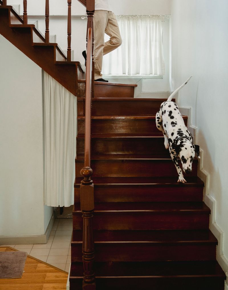 Stairs, Elevators, and Aging Joints