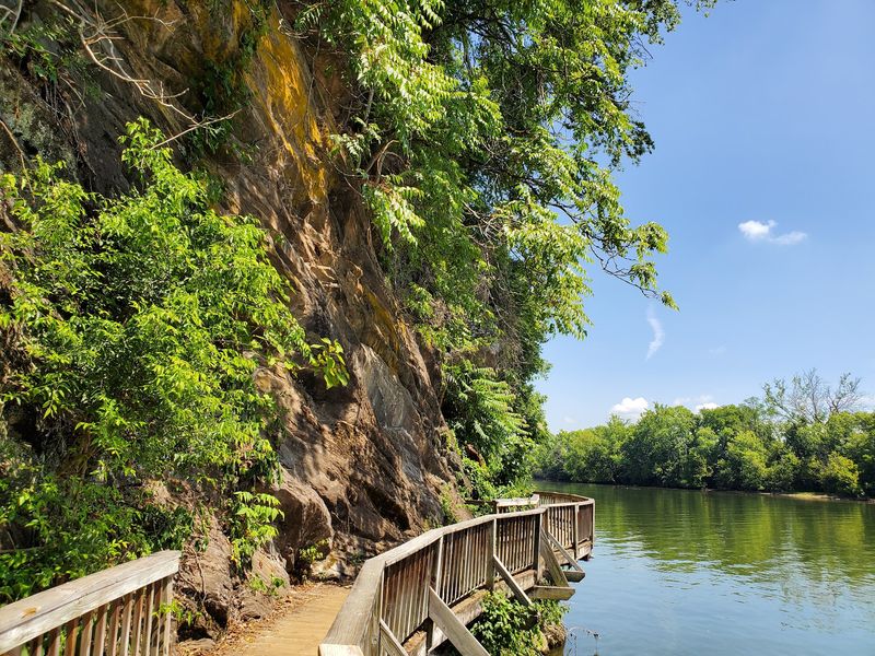 Will Skelton Greenway, South Knoxville: Add a Woodsy Mood