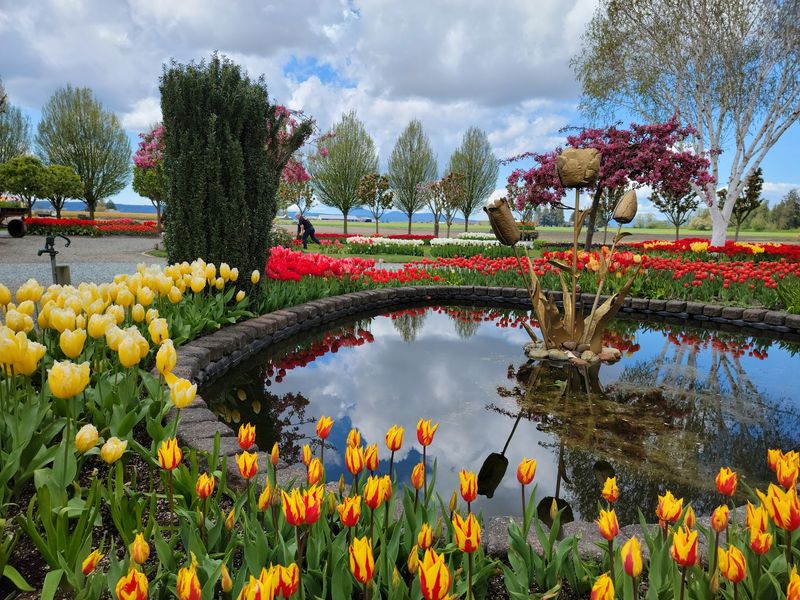 Skagit Riverwalk Public Art Trail: Tulips Beside the River