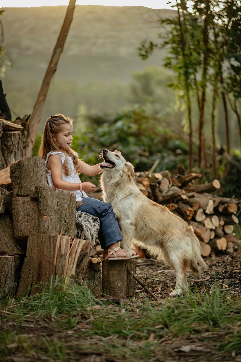 Golden Retriever: Friendly Energy For Family Chores