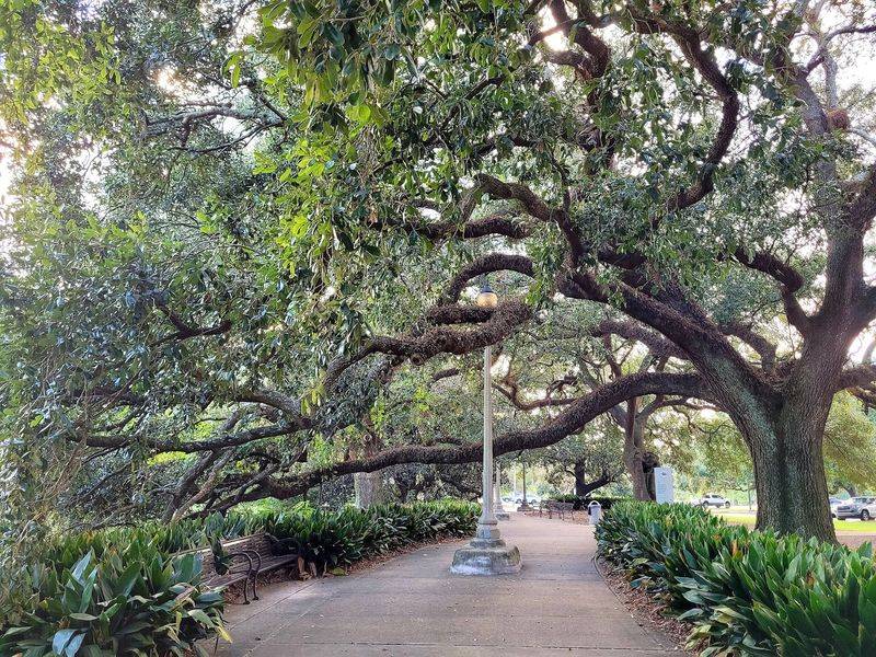 City-Brooks Community Park, Baton Rouge
