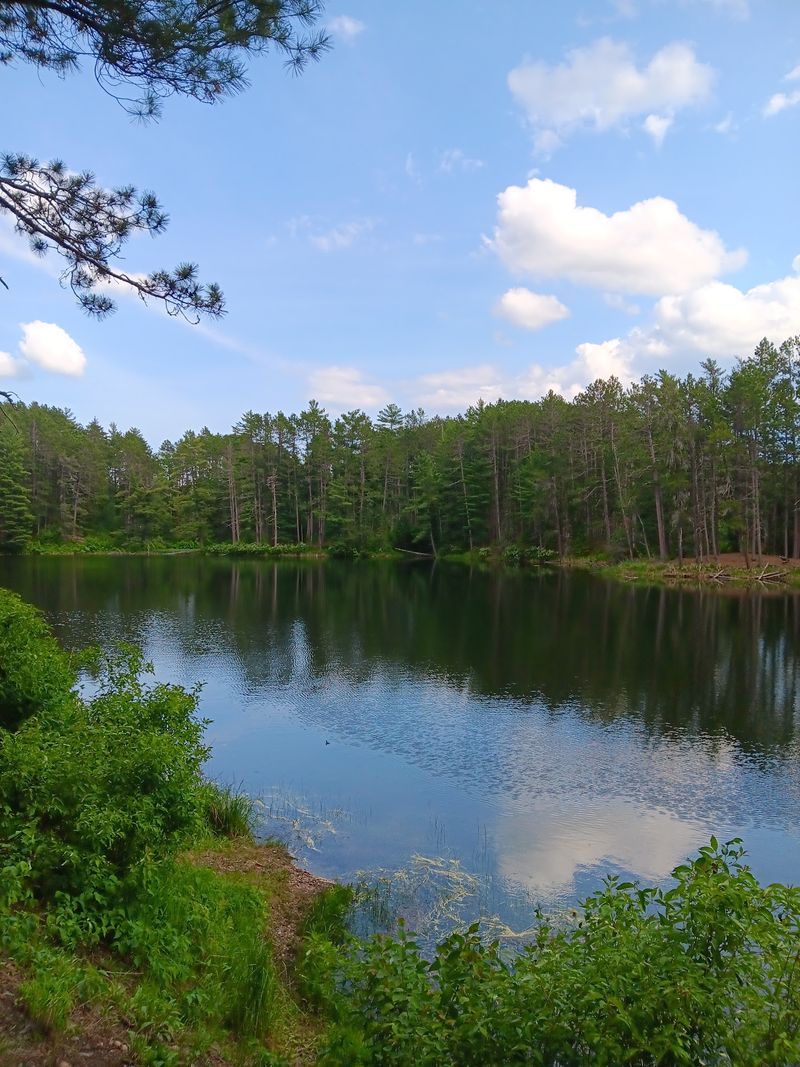 Bear Head Lake State Park: Norberg Lake Loop