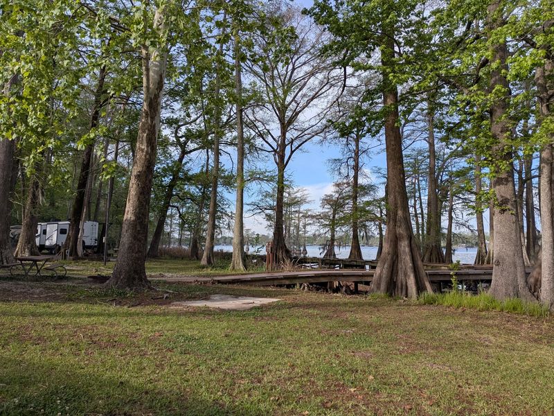 Lake Bruin State Park