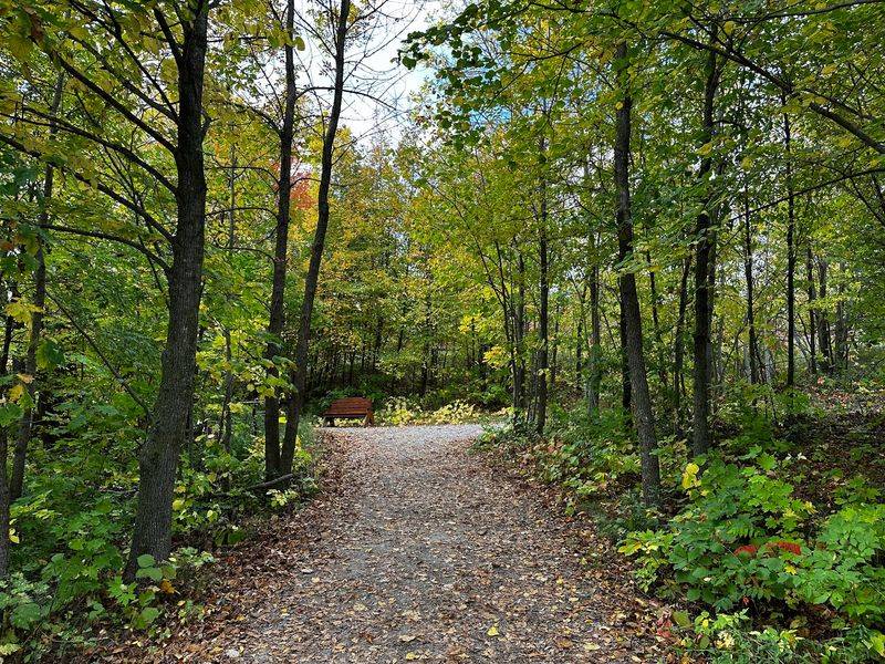 Maplewood State Park: Main Campground