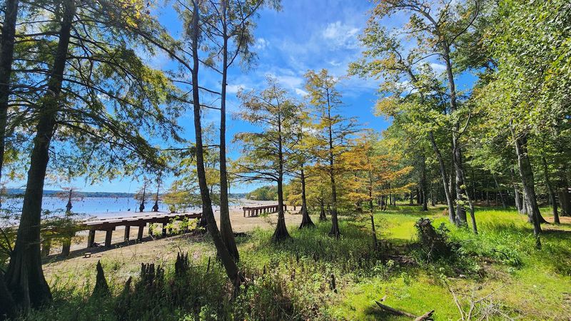 Lake D'Arbonne State Park