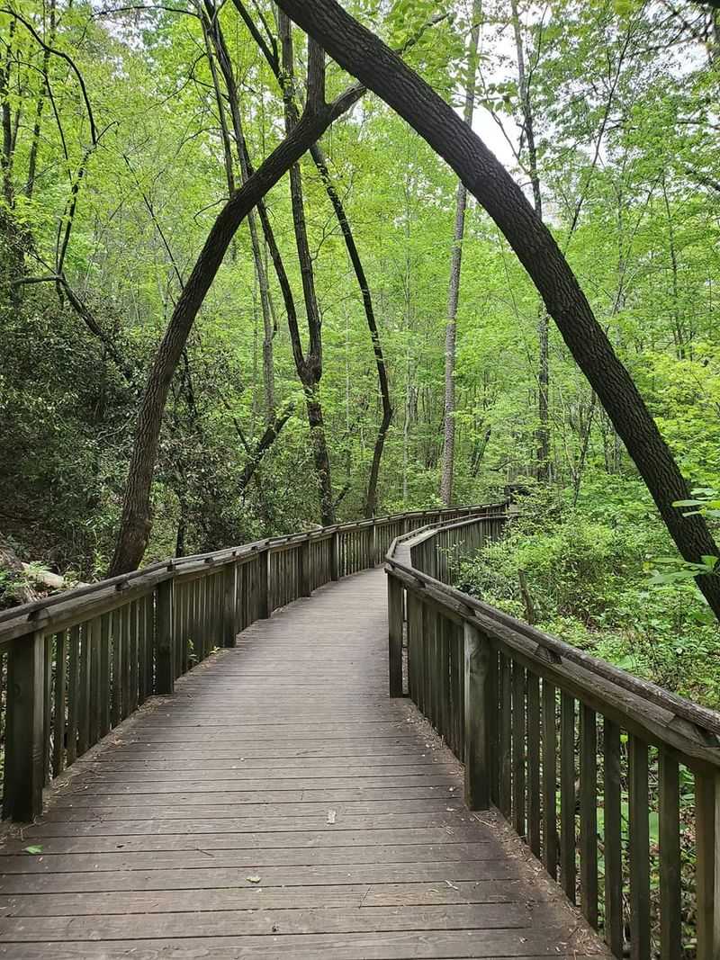 DeSoto State Park Campground, Fort Payne