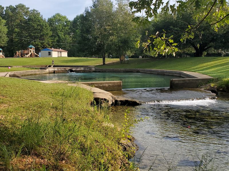 Blue Springs State Park Campground, Clio