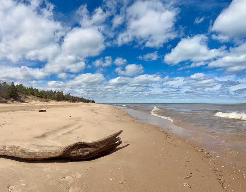 Point Beach State Forest in Two Rivers: Sand and Forest