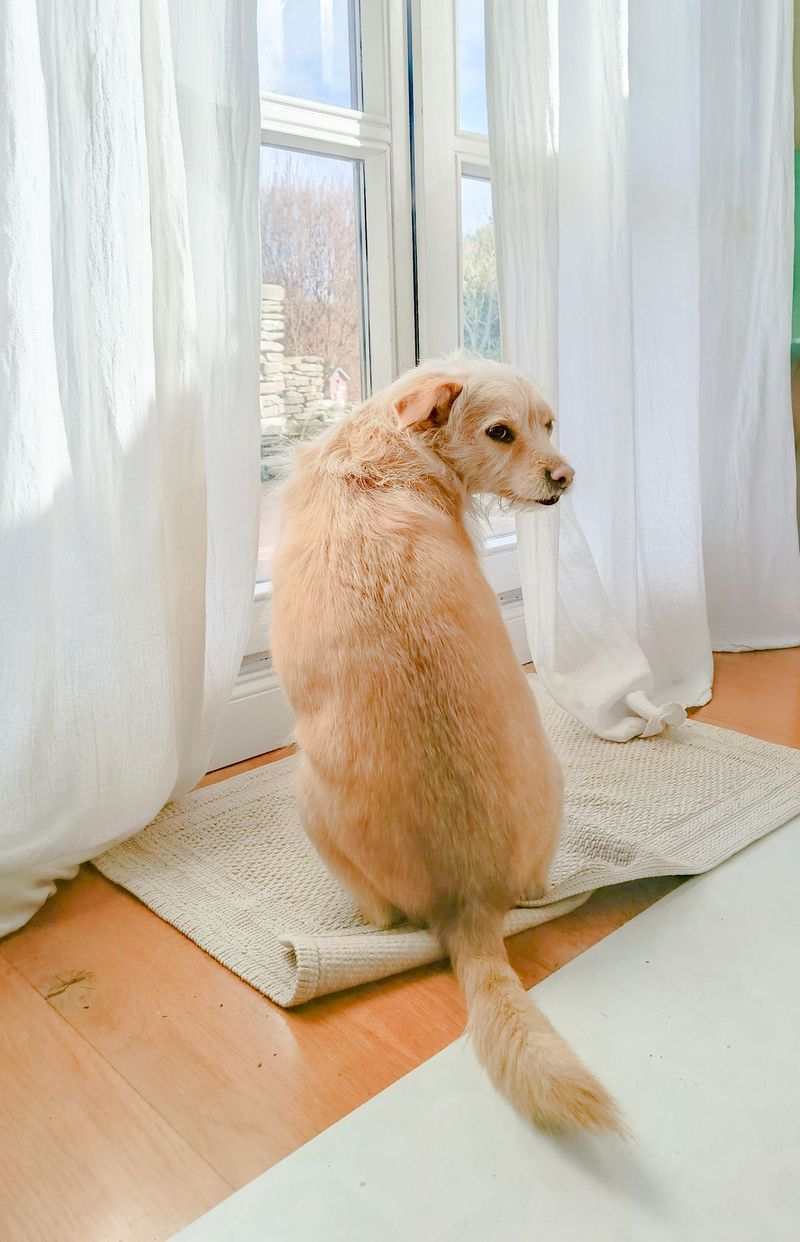 Inch the Pad Toward the Door