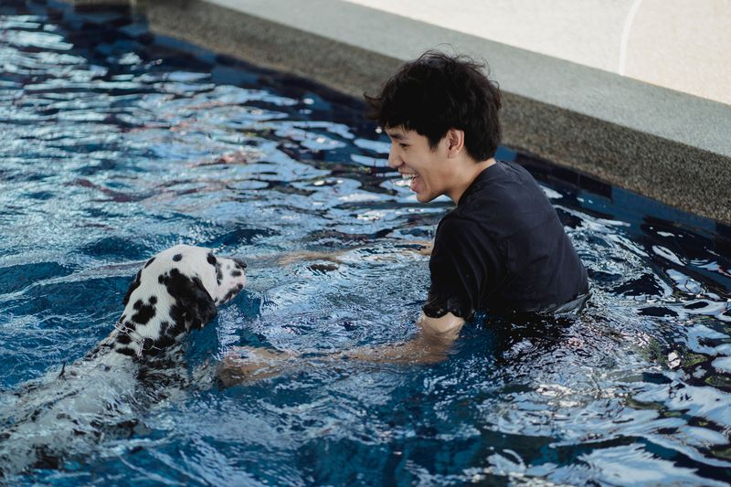 Choose Your Dog's Kind of Fun