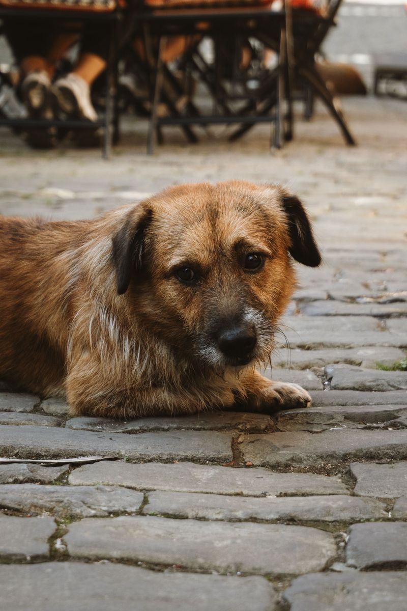 City Sounds Can Shift Behavior