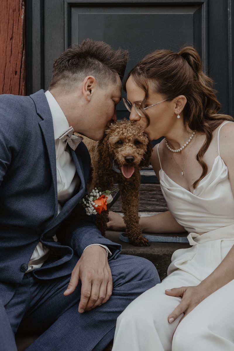 Dogs Acquired During Marriage May Be Marital Property