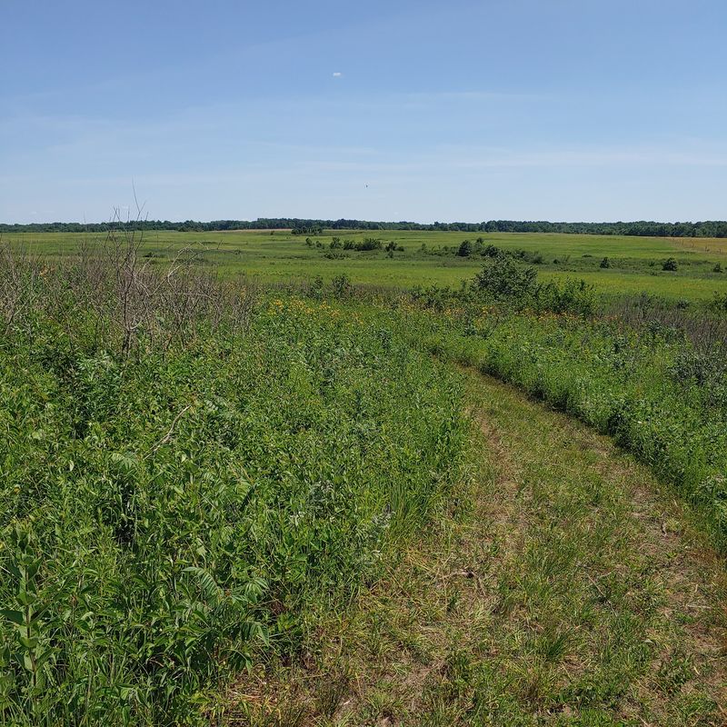 Path of the Earth People at Prairie State Park