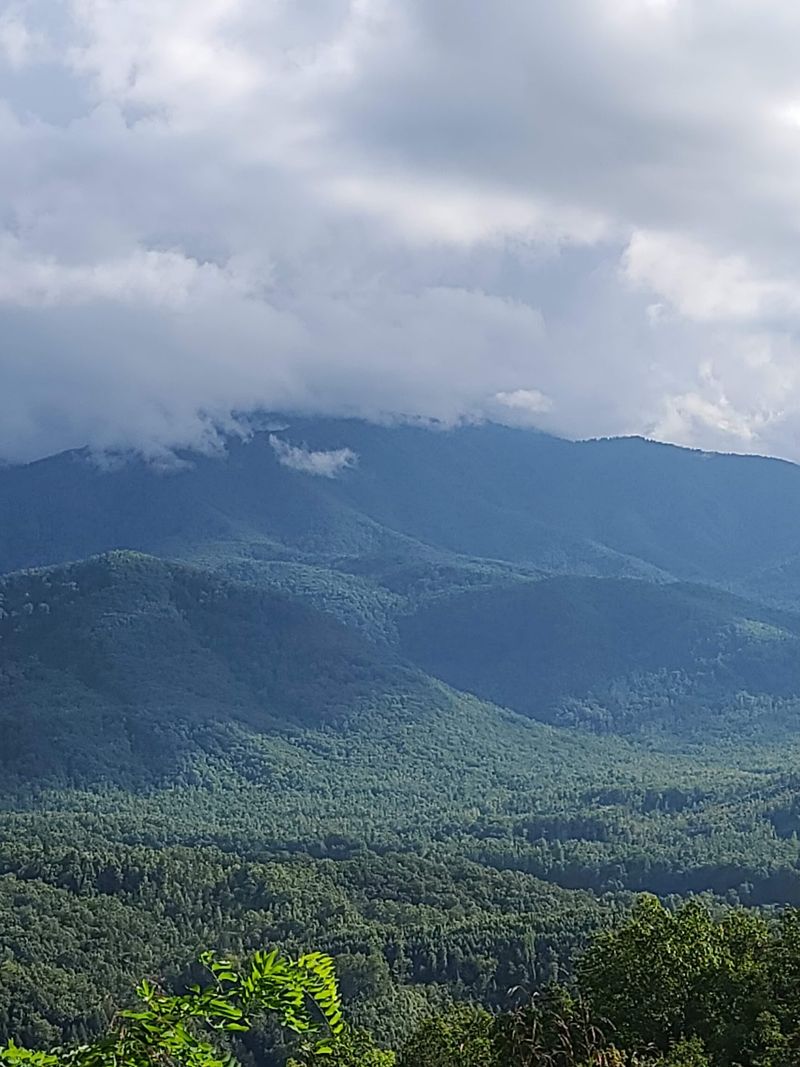 Cosby Overlook: Smoky Mountain Layers at Roadside