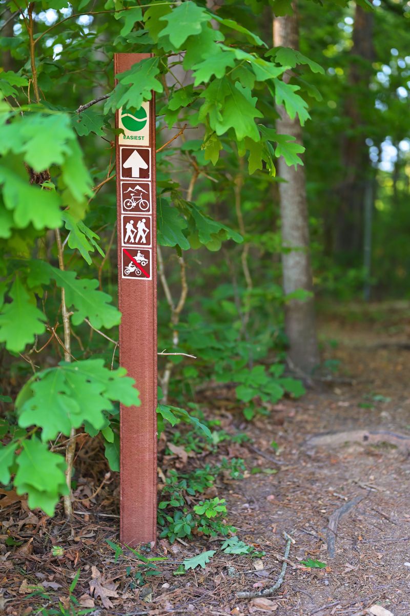 Check Whether Your Trail Allows Dogs