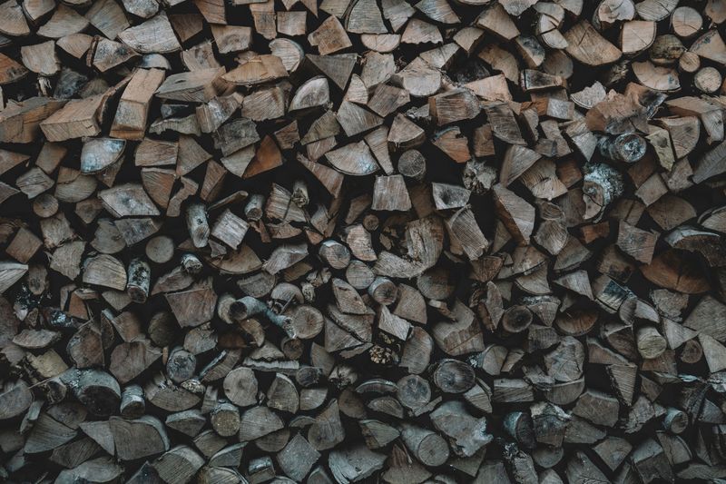 Understand Why Woodpiles Offer Cover