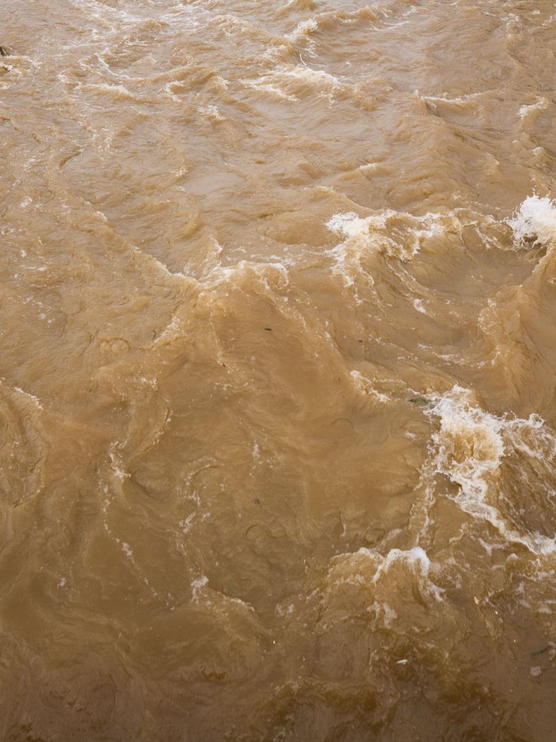 Swift Water Can Overwhelm Strong Swimmers