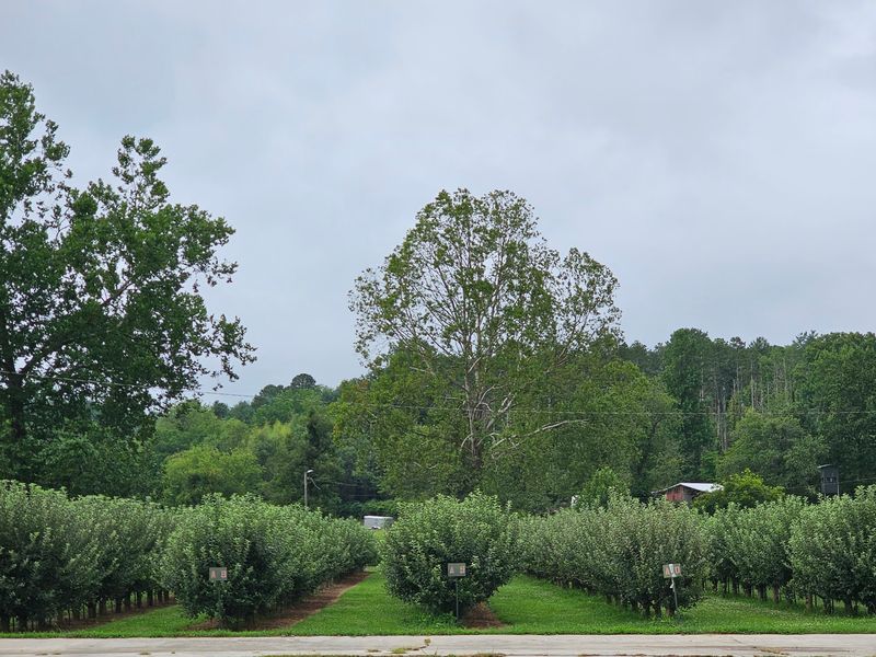Hillside Orchard Farms: Separate Attractions From Access