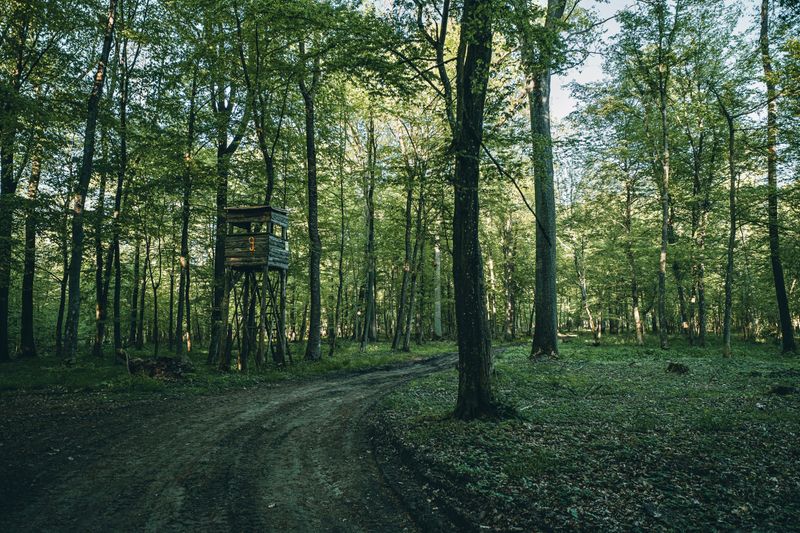 Give Hunting Blinds And Stands Space