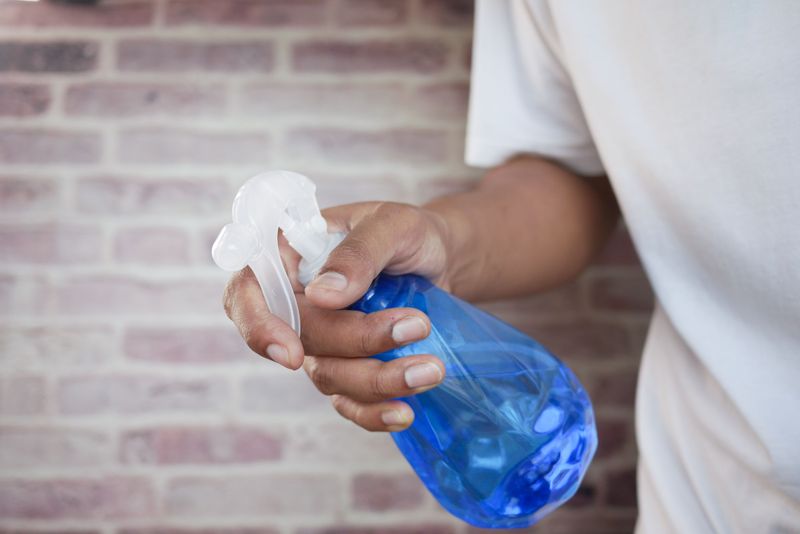 Clean Accidents With an Enzymatic Cleaner