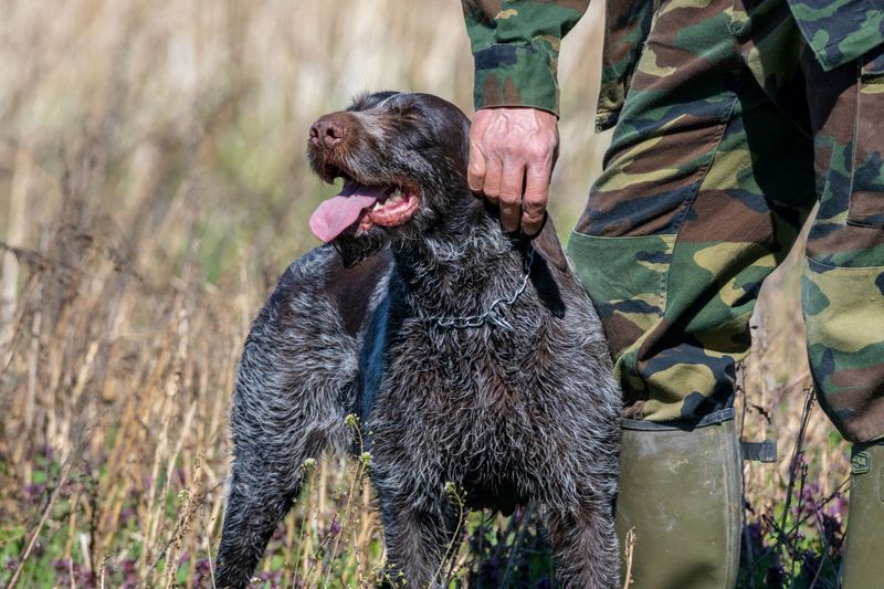 Read the Latest NCWRC Rules