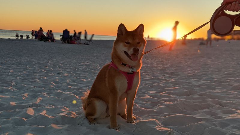 Keep Beach Visits Short and Carefully Timed