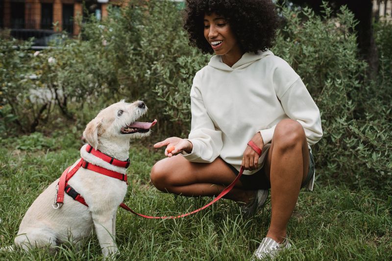 Teach Dogs to Leave Wildlife Alone