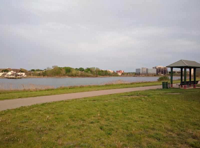 Lower Neponset River Trail: Marsh Views Within the City