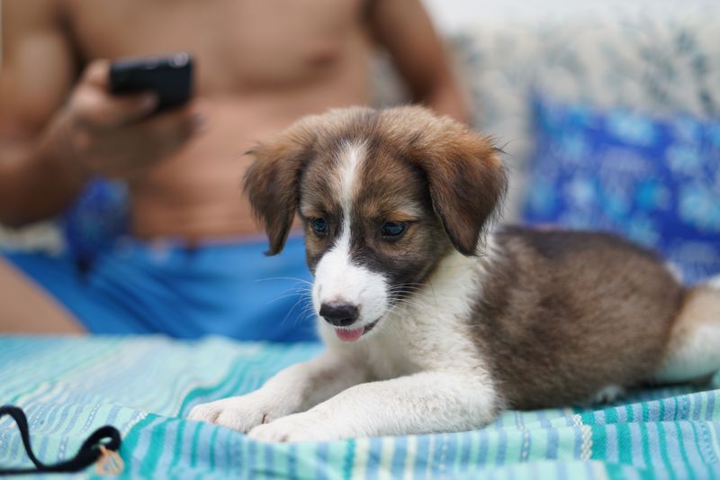 Learning to Relax While the Family Unwinds