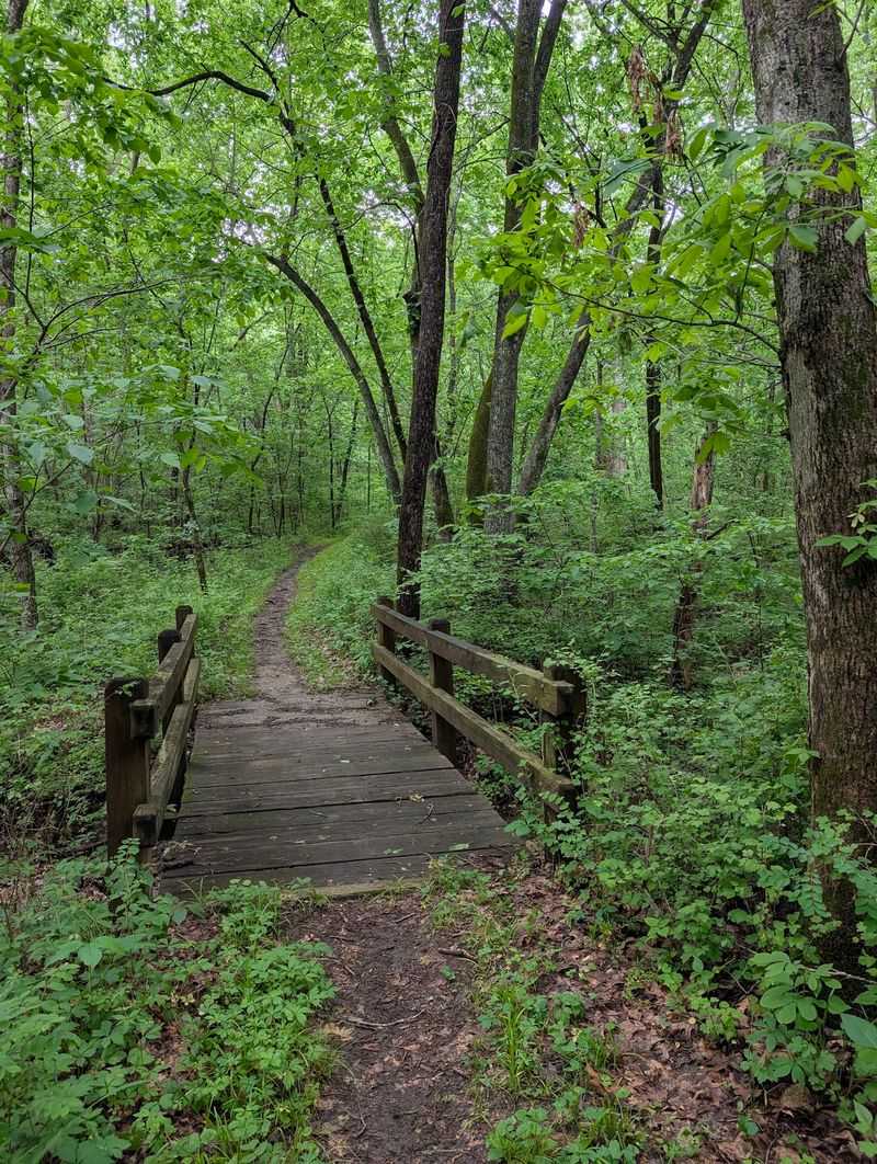 Wallace State Park Campground