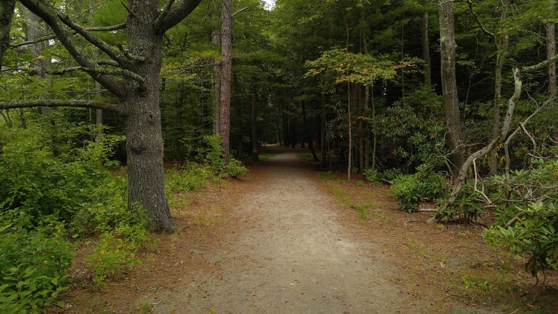Bradley Palmer State Park: An Estate Walk at Your Pace